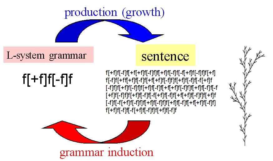 Lsystem fig